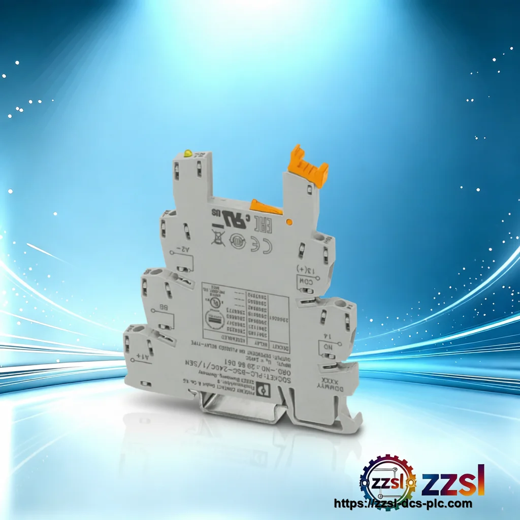 2966061-base